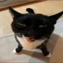 RAHHHHHHH