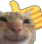 ccgg_catepik Discord emoji