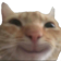 ccgg_cathappy Discord emoji