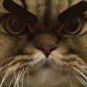 cat_angry
