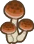 mushrooms