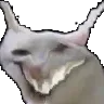 megawesh