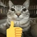 CatzuzuYes