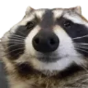 zracoon