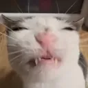 grin grin