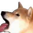 lickr