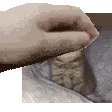 UwU_pet
