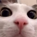 LcoViendoTuAno Discord emoji
