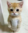 vghjsfbhjecfvbhjfbfsgbhjdbj