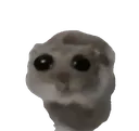 sadhamster