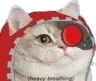 catpriest