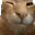buhbye buhbye
