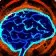 bigbrained bigbrained