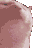 VibingCat