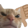 ccgg_catnotepik Discord emoji