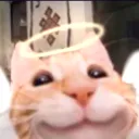_sinsAngelCat
