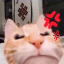 _sinsPissedCat