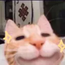 _sinsPleasedCat