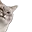 Cat_Peek Cat_Peek