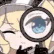 FannyInspect