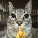cat_mew