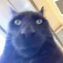 wha