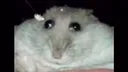 Herbert4
