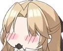 VanBlush