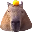 capybara64