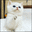 pA_cathand Discord emoji