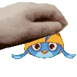 willowpat willowpat
