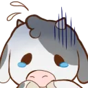20513cownervous