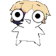dainidkbounce