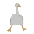 goosePls goosePls