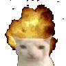catboom