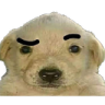 raiseddog Discord emoji