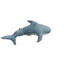 z_silly_shark_spins