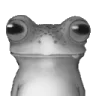 lilfrog