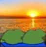 pepesunset
