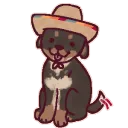 wy_chihuahua_wag