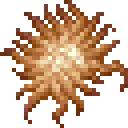 starfishUnique1