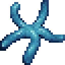 starfishUnique2