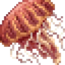 jellyfishUnique1