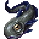 roundnoseGrenadier