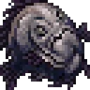 smoothDory