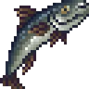Sablefish
