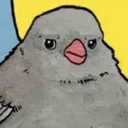 annoyedbird