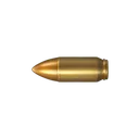 bullet