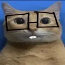 NateIrl