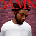 lovelldamn